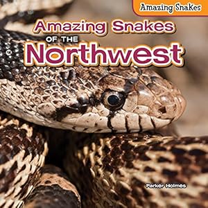 Amazing Snakes of the Northwest by Parker Holmes
