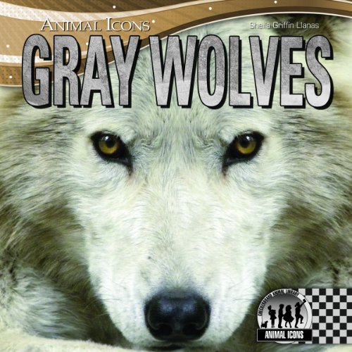 Gray Wolves by Sheila Griffin Llanas