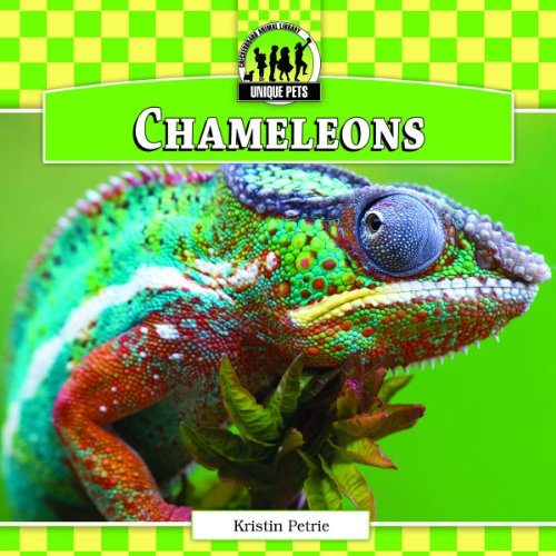 Chameleons by Kristin Petrie