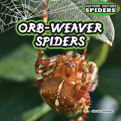 Orb-Weaver Spiders by Joanne Randolph