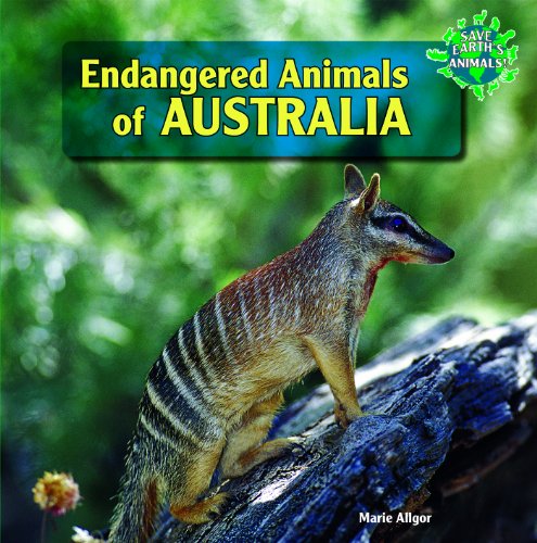 Endangered Animals of Australia by Marie Allgor