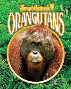 Orangutans (Smart Animals)