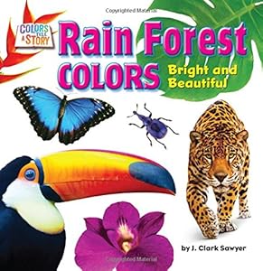 Rain Forest Colors: Bright and Beautiful
