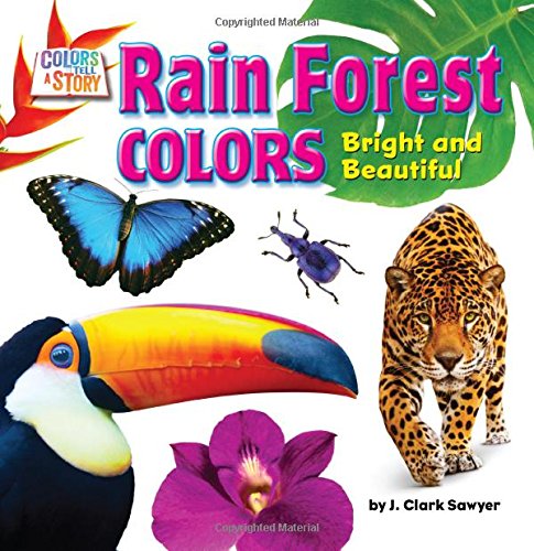 Rain Forest Colors: Bright and Beautiful by J. Clark Sawyer