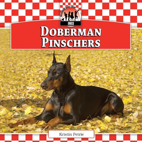 Doberman Pinschers by Kristin Petrie