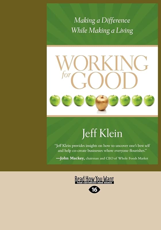 Working for Good: Making a Difference While Making a Living by Jeff Klein