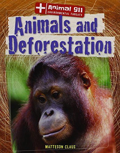 Animals and Deforestation by Matteson Claus