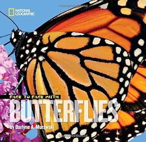 Face to Face with Butterflies