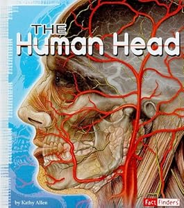 The Human Head