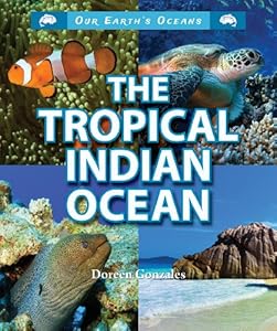 The Tropical Indian Ocean