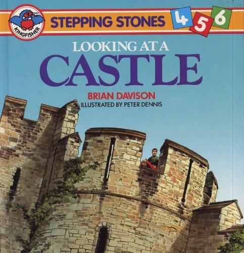 Looking at a Castle (Stepping Stones) by Brian Davison