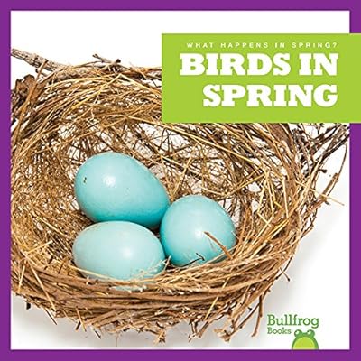 Birds in Spring (Bullfrog Books: What Happens in Spring?)