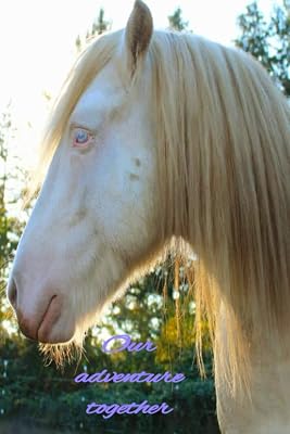 Our adventure together: a horse journal