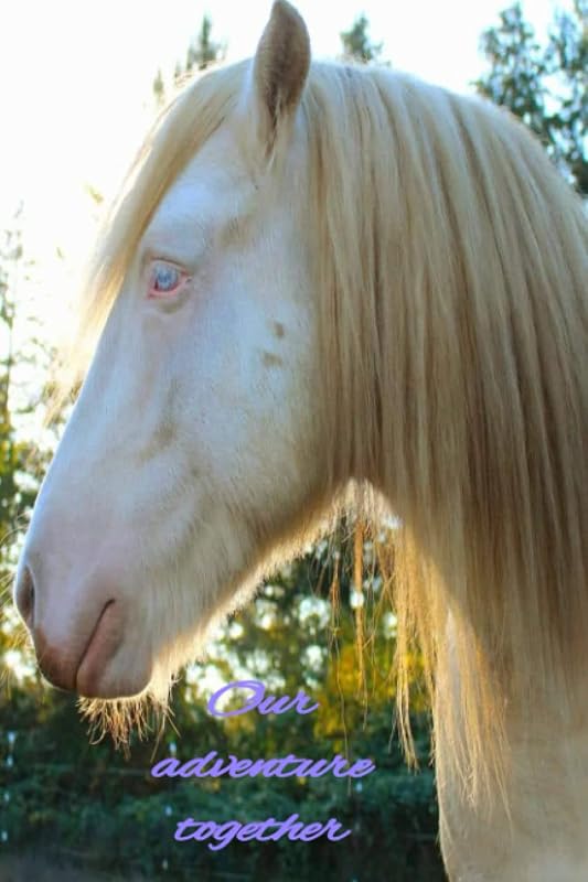Our adventure together: a horse journal by Ron E Quimby
