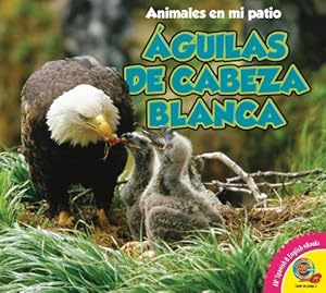Aguilas de Cabeza Blanca = Bald Eagle