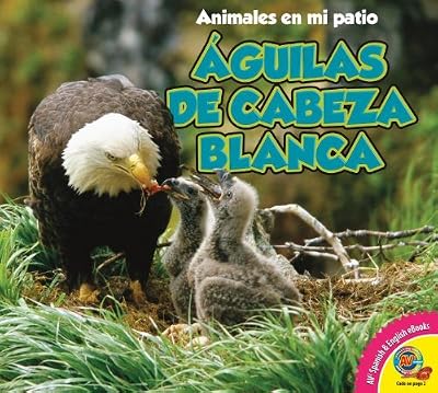 Aguilas de Cabeza Blanca = Bald Eagle