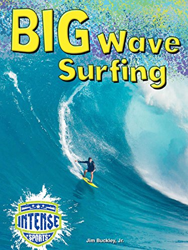 Big Wave Surfing by Diane Bailey