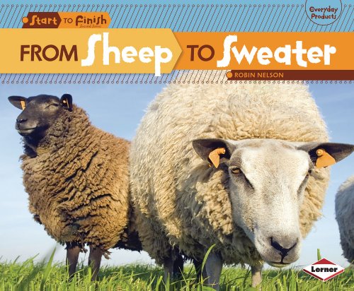 From Sheep to Sweater by Robin Nelson