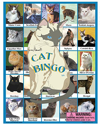Cat Bingo Game