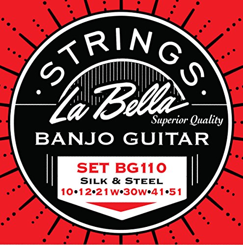 Algopix Similar Product 17 - LaBella BG110 Stainless Steel Banjo
