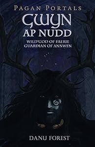 Pagan Portals - Gwyn ap Nudd by Forest Danu