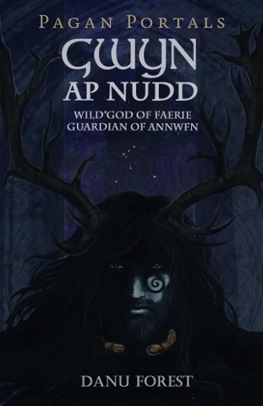 Pagan Portals - Gwyn ap Nudd by Forest Danu