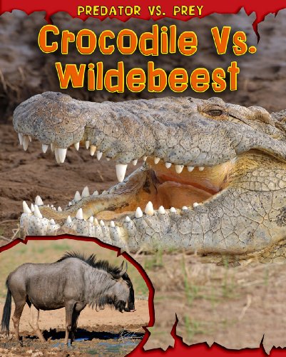 Crocodile vs. Wildebeest (Read Me!) by Mary Meinking