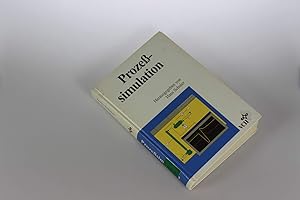 Prozess-Simulation