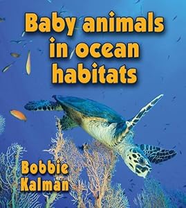 Baby Animals in Ocean Habitats
