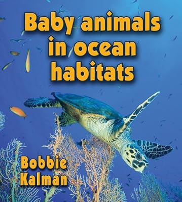 Baby Animals in Ocean Habitats