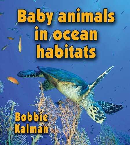 Baby Animals in Ocean Habitats by Bobbie Kalman