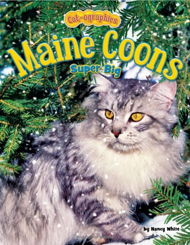 Maine coons by Nancy White