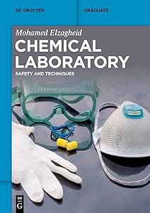 Chemical Laboratory: Safety and Techniques (De Gruyter Textbook) by Mohamed Elzagheid