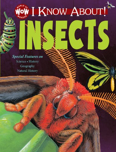 I Know About! Insects by Flowerpot Press