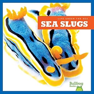 Sea Slugs