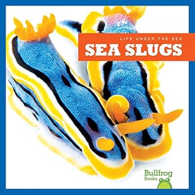 Sea Slugs