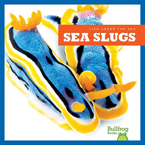 Sea Slugs by Mari Schuh