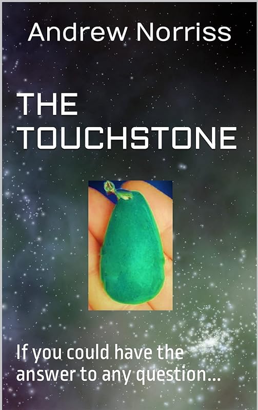 The Touchstone by Andrew Norriss