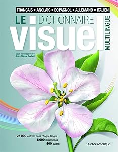 Dictionnaire Visuel Multilingue : francais allemand espagnol italien anglais - French German Spanish Italian English Multilingual Visual Dictionary (French Edition)