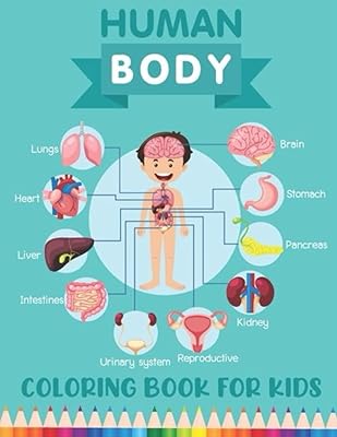 Human Body Coloring Book For Kids