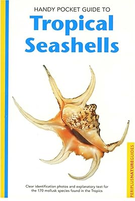 Handy Pocket Guide to Tropical Seashells (Handy Pocket Guides)