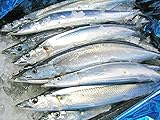 北海道産 生サンマ 2Kg （11?12尾）【発送期間】8月下旬?9月下旬