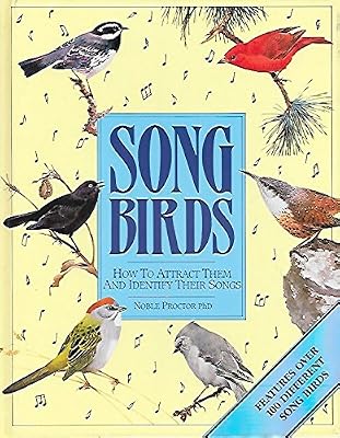 Songbirds: How to Attract Them and Identify Their Songs