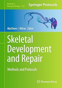 Skeletal Development and Repair: Methods and Protocols (Methods in Molecular Biology, 1130)