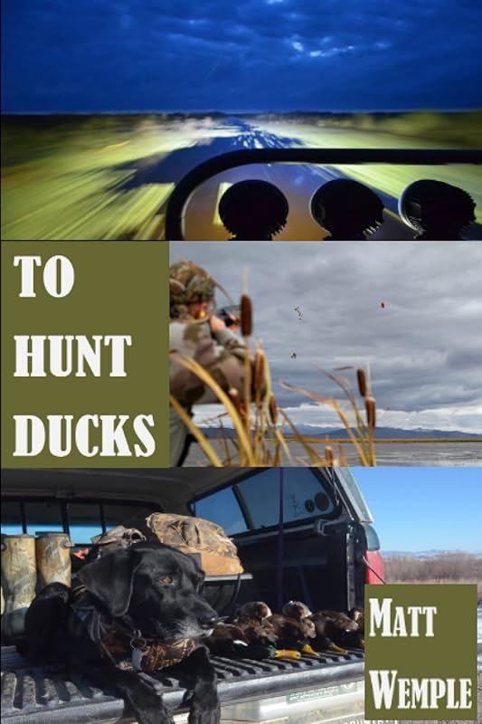 To Hunt Ducks by Matt Wemple