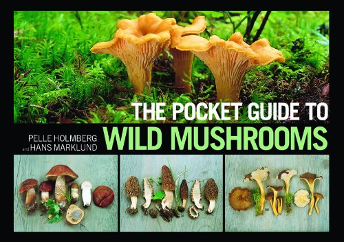 The Pocket Guide to Wild Mushrooms: Helpful Tips for Mushrooming in the Field by Pelle Holmberg