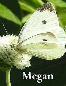 Megan's Journal