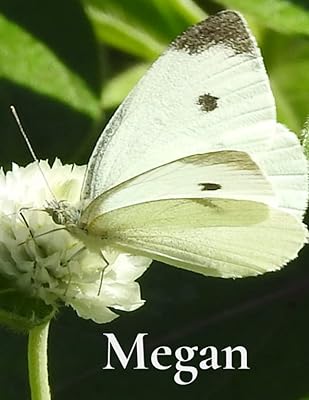 Megan's Journal