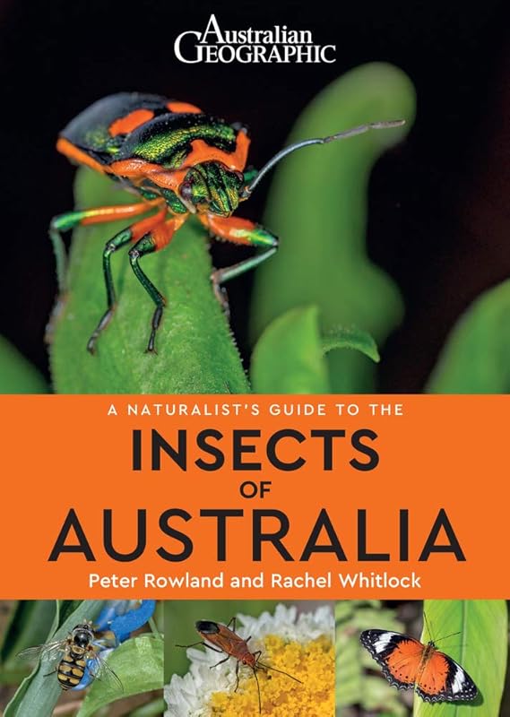 A Naturalist's Guide to Insects of Australia by Peter Rowland