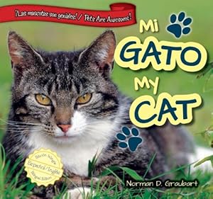 Mi gato / My Cat